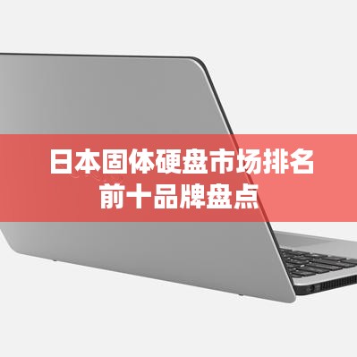 日本固体硬盘市场排名前十品牌盘点