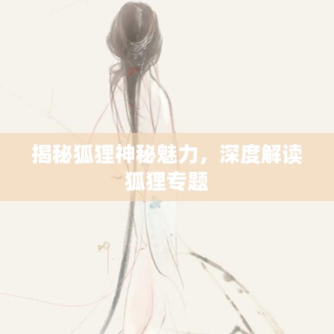 揭秘狐狸神秘魅力,深度解读狐狸专题