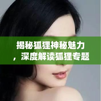 揭秘狐狸神秘魅力,深度解读狐狸专题