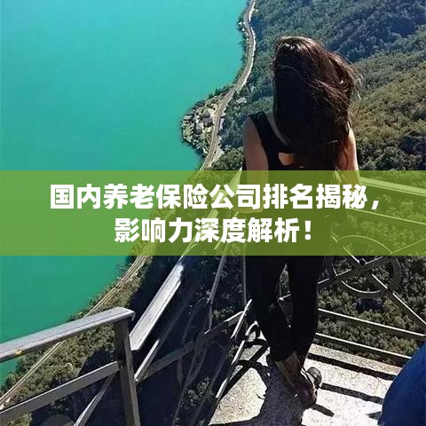 国内养老保险公司排名揭秘,影响力深度解析!