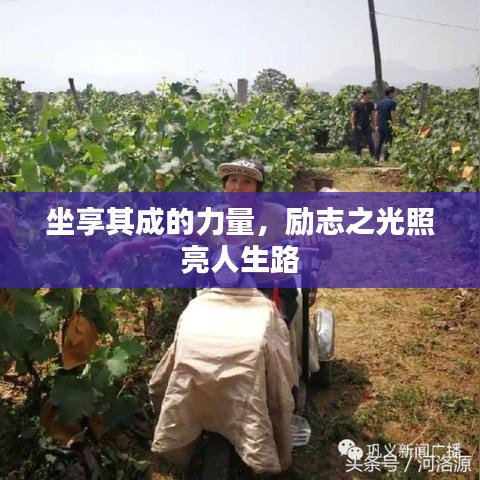 坐享其成的力量,励志之光照亮人生路