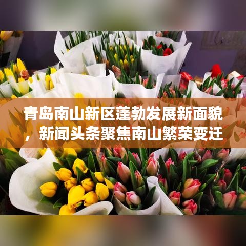 青岛南山新区蓬勃发展新面貌,新闻头条聚焦南山繁荣变迁