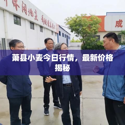 井底之蛙 第3页