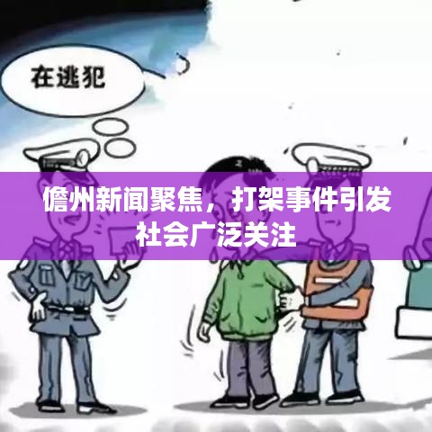儋州新闻聚焦，打架事件引发社会广泛关注