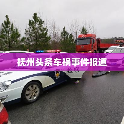 抚州头条车祸事件报道