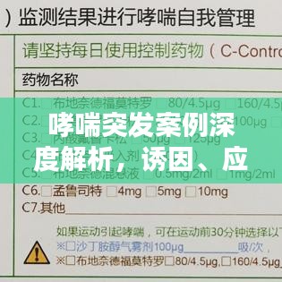 哮喘突发案例深度解析，诱因、应对与预防策略