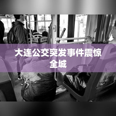 大连公交突发事件震惊全城