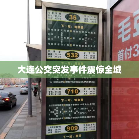 大连公交突发事件震惊全城