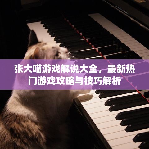 张大喵游戏解说大全，最新热门游戏攻略与技巧解析