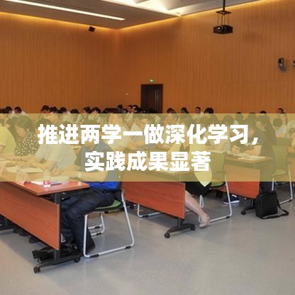 推进两学一做深化学习,实践成果显著