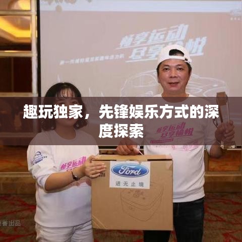 趣玩独家，先锋娱乐方式的深度探索