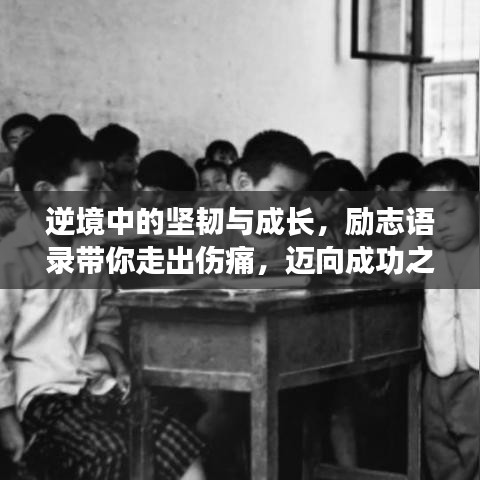 逆境中的坚韧与成长,励志语录带你走出伤痛,迈向成功之路