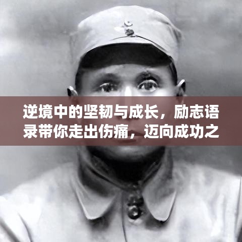 逆境中的坚韧与成长,励志语录带你走出伤痛,迈向成功之路