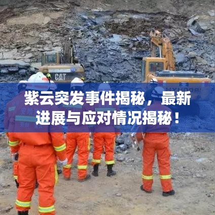 紫云突发事件揭秘，最新进展与应对情况揭秘！