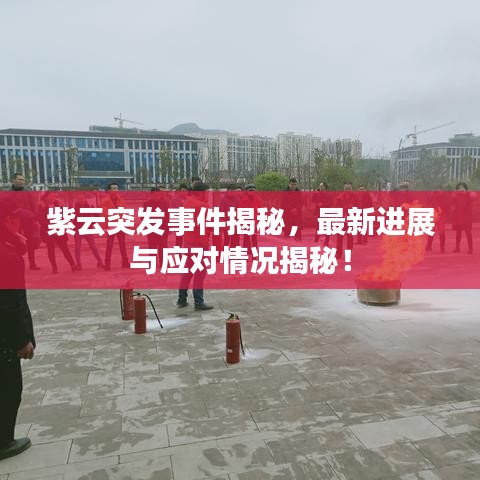 紫云突发事件揭秘,最新进展与应对情况揭秘!