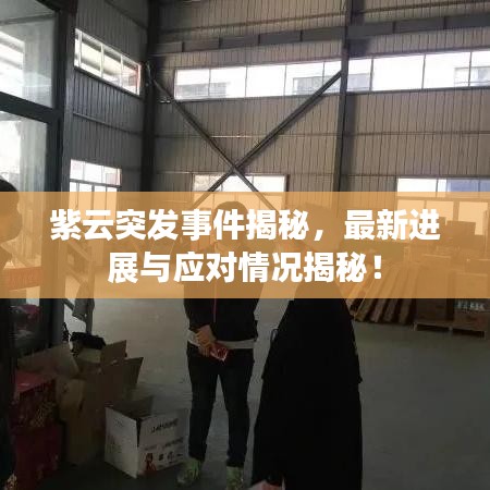 紫云突发事件揭秘,最新进展与应对情况揭秘!