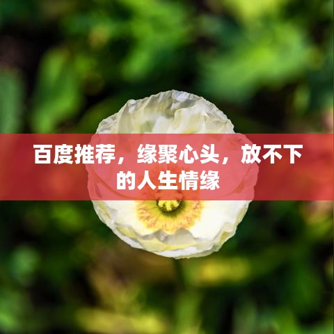 百度推荐，缘聚心头，放不下的人生情缘