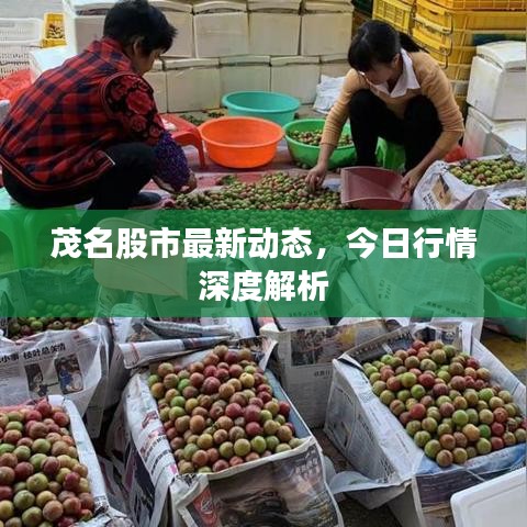 茂名股市最新动态,今日行情深度解析