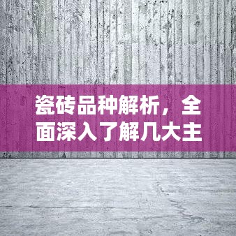 瓷砖品种解析,全面深入了解几大主流瓷砖种类
