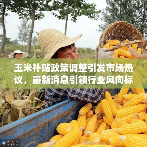 玉米补贴政策调整引发市场热议,最新消息引领行业风向标