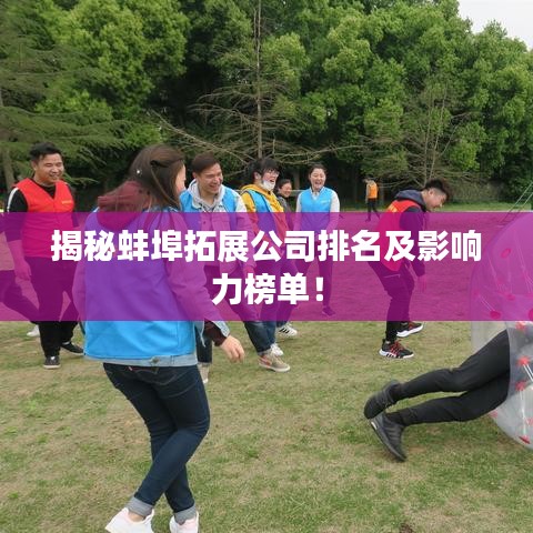 揭秘蚌埠拓展公司排名及影响力榜单！