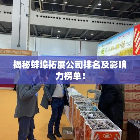 揭秘蚌埠拓展公司排名及影响力榜单!