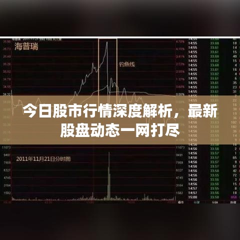 今日股市行情深度解析,最新股盘动态一网打尽