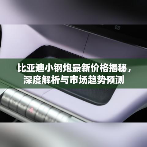 比亚迪小钢炮最新价格揭秘,深度解析与市场趋势预测
