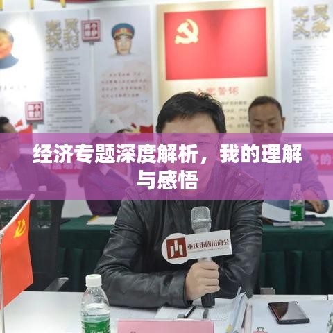 经济专题深度解析,我的理解与感悟