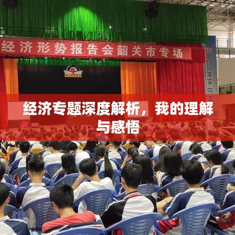 经济专题深度解析,我的理解与感悟