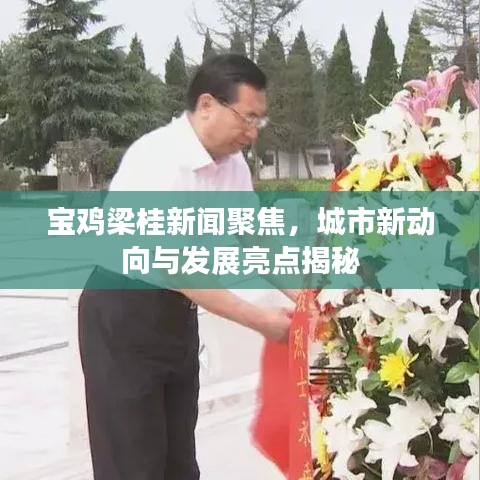 宝鸡梁桂新闻聚焦，城市新动向与发展亮点揭秘