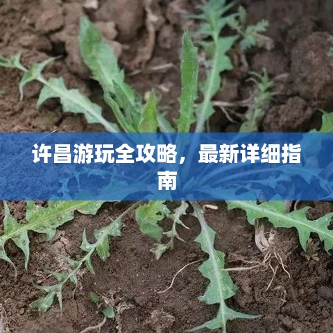 许昌游玩全攻略,最新详细指南