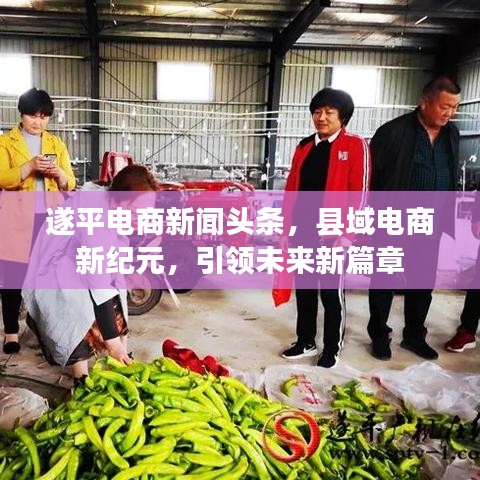 遂平电商新闻头条,县域电商新纪元,引领未来新篇章
