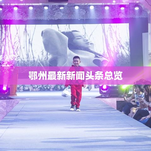 鄂州最新新闻头条总览