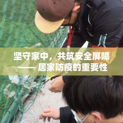 坚守家中,共筑安全屏障 —— 居家防疫的重要性与价值