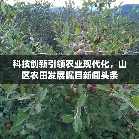科技创新引领农业现代化，山区农田发展瞩目新闻头条
