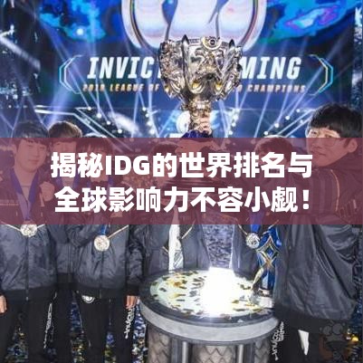 揭秘IDG的世界排名与全球影响力不容小觑！