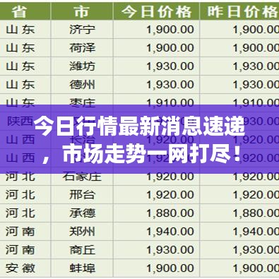 今日行情最新消息速递,市场走势一网打尽!