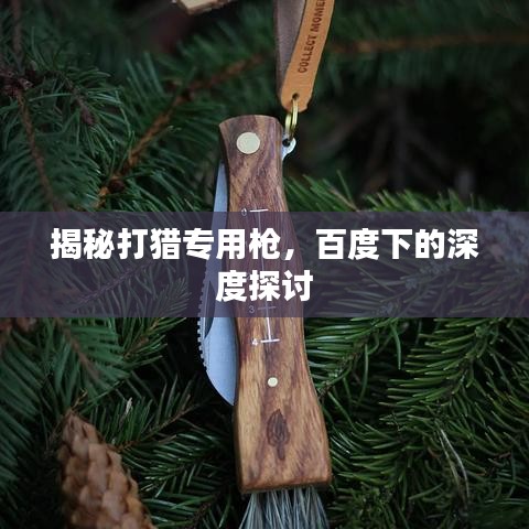 揭秘打猎专用枪,百度下的深度探讨