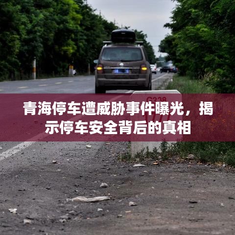 青海停车遭威胁事件曝光,揭示停车安全背后的真相