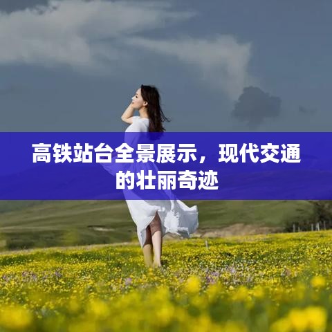 高铁站台全景展示,现代交通的壮丽奇迹