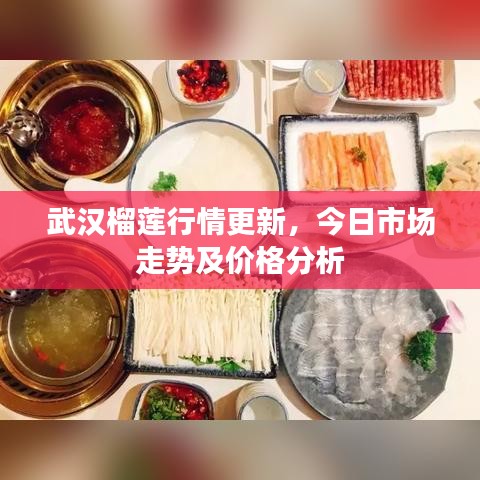 武汉榴莲行情更新,今日市场走势及价格分析