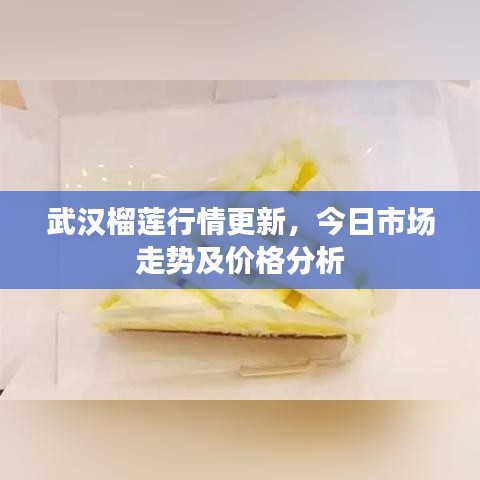 武汉榴莲行情更新,今日市场走势及价格分析
