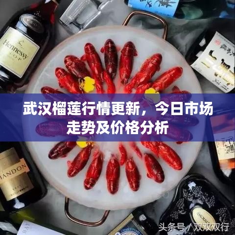 武汉榴莲行情更新,今日市场走势及价格分析