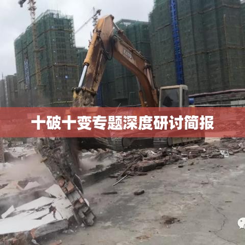 十破十变专题深度研讨简报