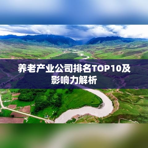 养老产业公司排名TOP10及影响力解析