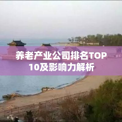 养老产业公司排名TOP10及影响力解析