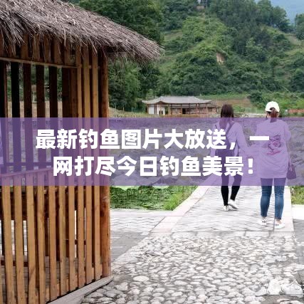 最新钓鱼图片大放送,一网打尽今日钓鱼美景!