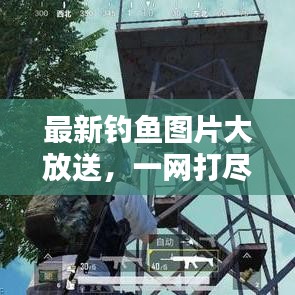 最新钓鱼图片大放送,一网打尽今日钓鱼美景!