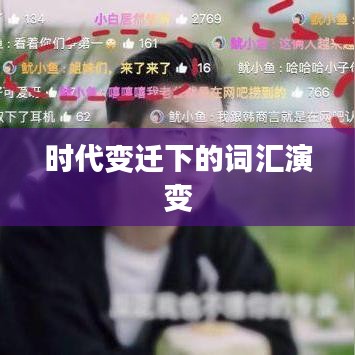 时代变迁下的词汇演变